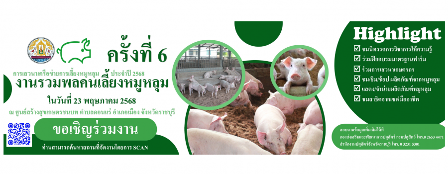 งานหมูหลุม